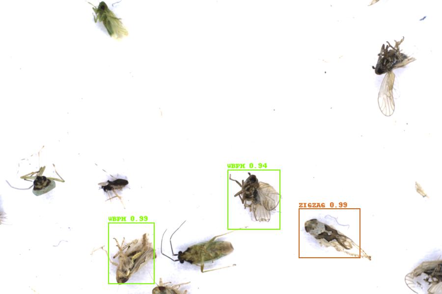 Image 22